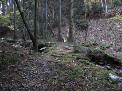 20131124hike (82)